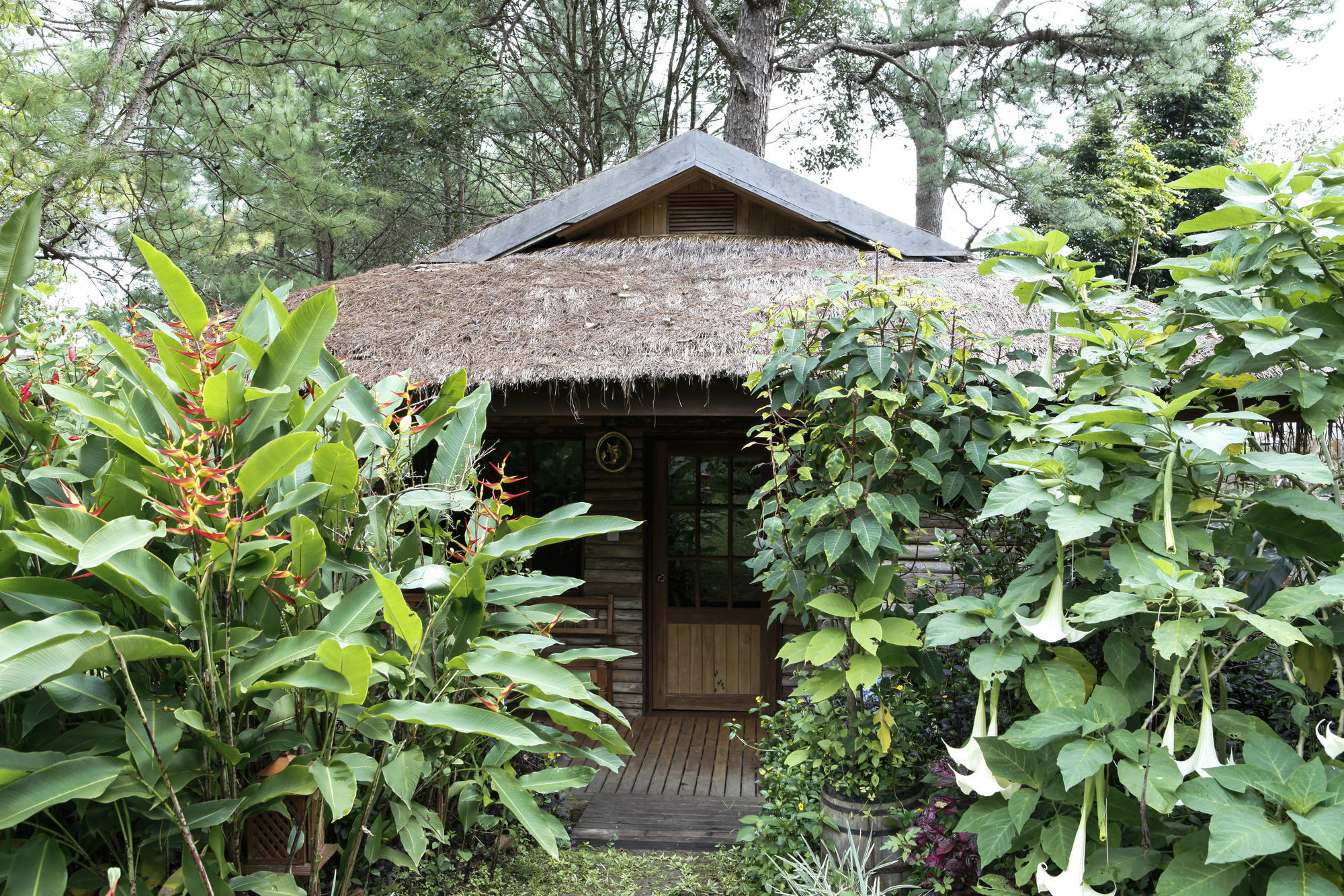 Amara Mountain Resort Kalaw Kültér fotó